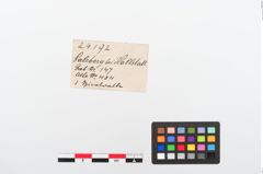 Etiketten zu Bronzespiralröhrchen (NHMW-PRAE-024192)